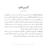 دستبند گرداب - Image 5