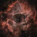 دستبند رزت - Image 3