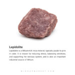 دستبند رزت - Image 6