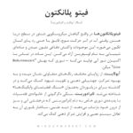 دستبند فیتوپلانکتون - Image 4