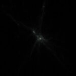 دستبند ماده تاریک - Image 3