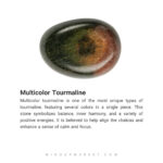 دستبند پروکسیما - Image 5