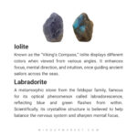 دستبند فیتوپلانکتون - Image 6