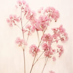 دستبند ژیپسو - Image 3