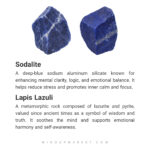 دستبند دلفین - Image 6