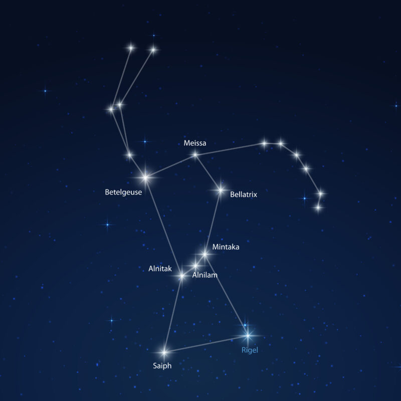 دستبند اوریون ریگل - Image 3