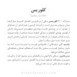 دستبند کلوریس - Image 4