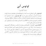 دستبند آکوامارین دست‌ساز مدل لوتوس آبی