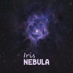 دستبند سحابی زنبق - Image 3