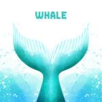 دستبند و گوشواره وال - Image 3