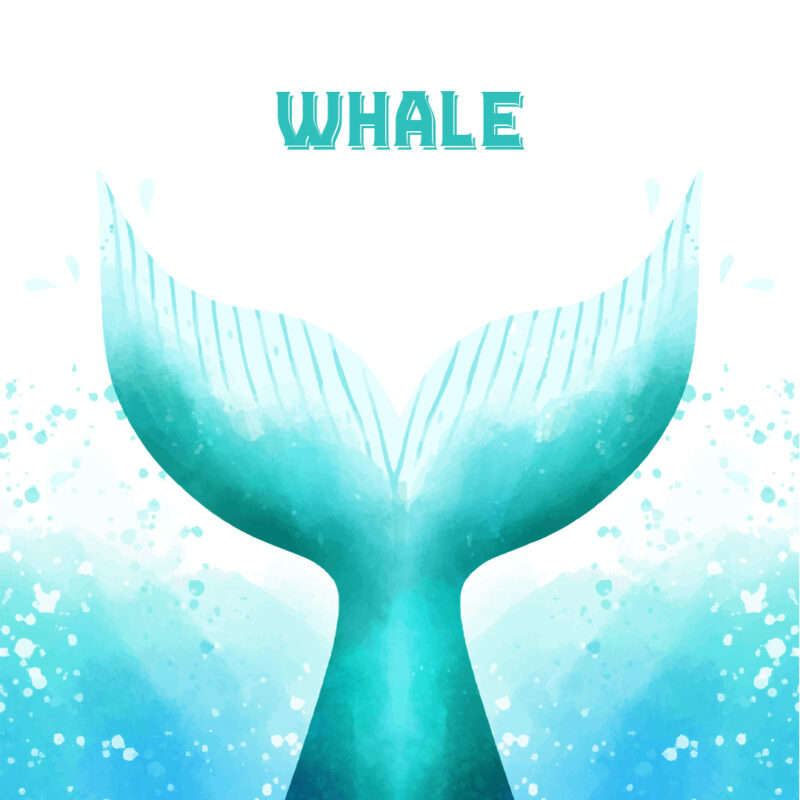 دستبند و گوشواره وال - Image 3