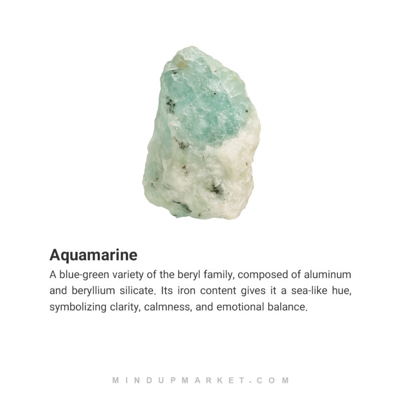 دستبند و گوشواره وال - Image 7