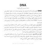 دستبند DNA - Image 4