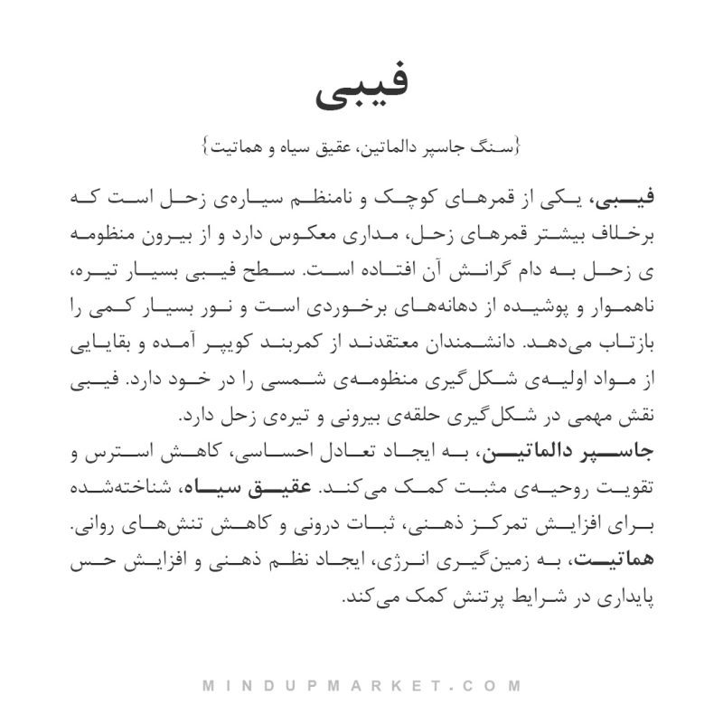 ست فیبی - Image 7
