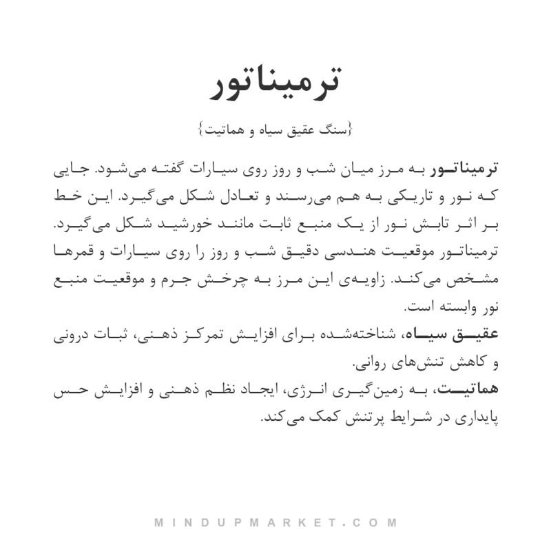 دستبند ترمیناتور - Image 4