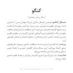 دستبند کنگو - Image 4