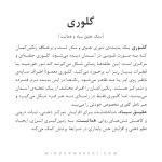دستبند گلوری - Image 4