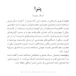 دستبند پترا - Image 5