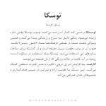 دستبند توسکا - Image 6