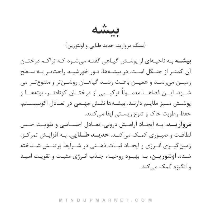 دستبند بیشه - Image 5