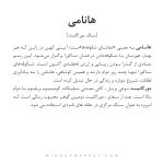دستبند هانامی - Image 6