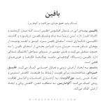 دستبند بافین - Image 5