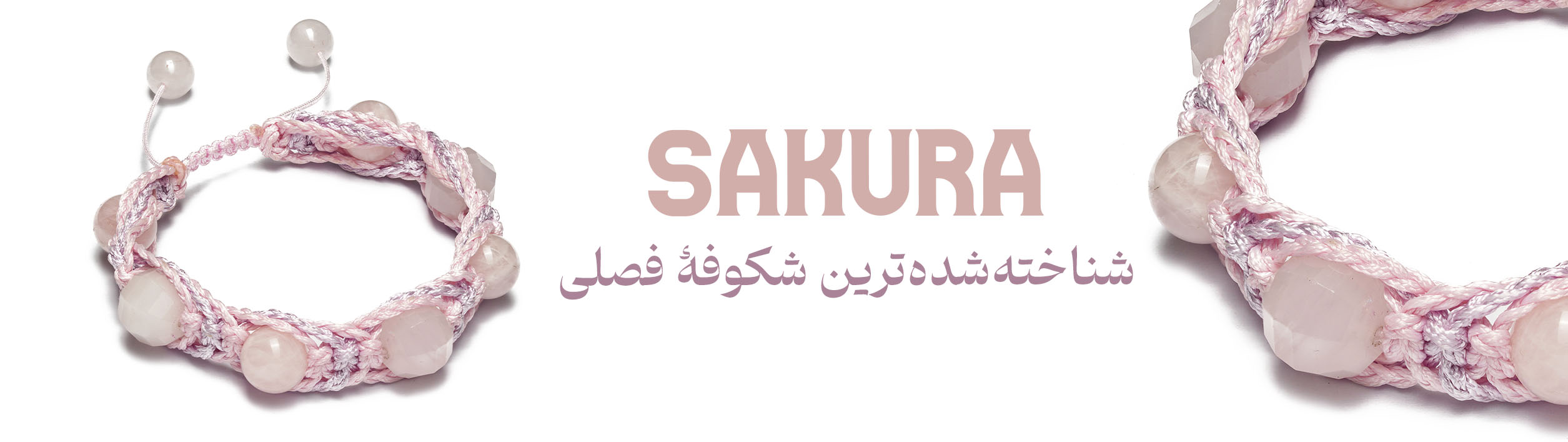 banner 5
