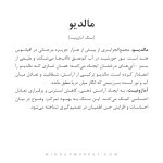 دستبند مالدیو - Image 5