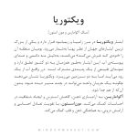 دستبند ویکتوریا - Image 7