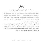 دستبند رتیل - Image 5