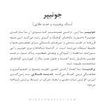 گردنبند جونیپر - Image 5