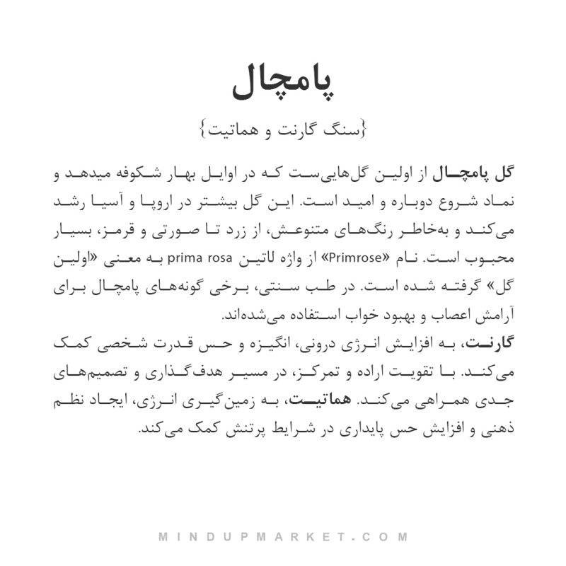 دستبند پامچال - Image 4