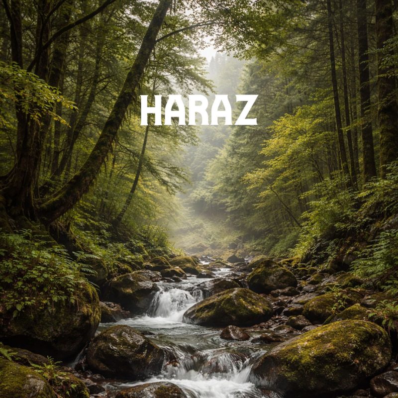 دستبند هراز - Image 3