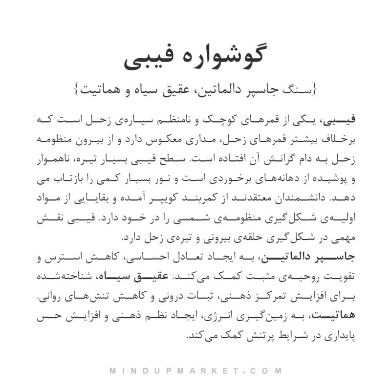 گوشواره فیبی - Image 3