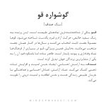 گوشواره قو - Image 5