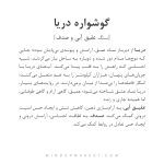 گوشواره دریا - Image 4