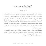 گوشواره صدف - Image 6