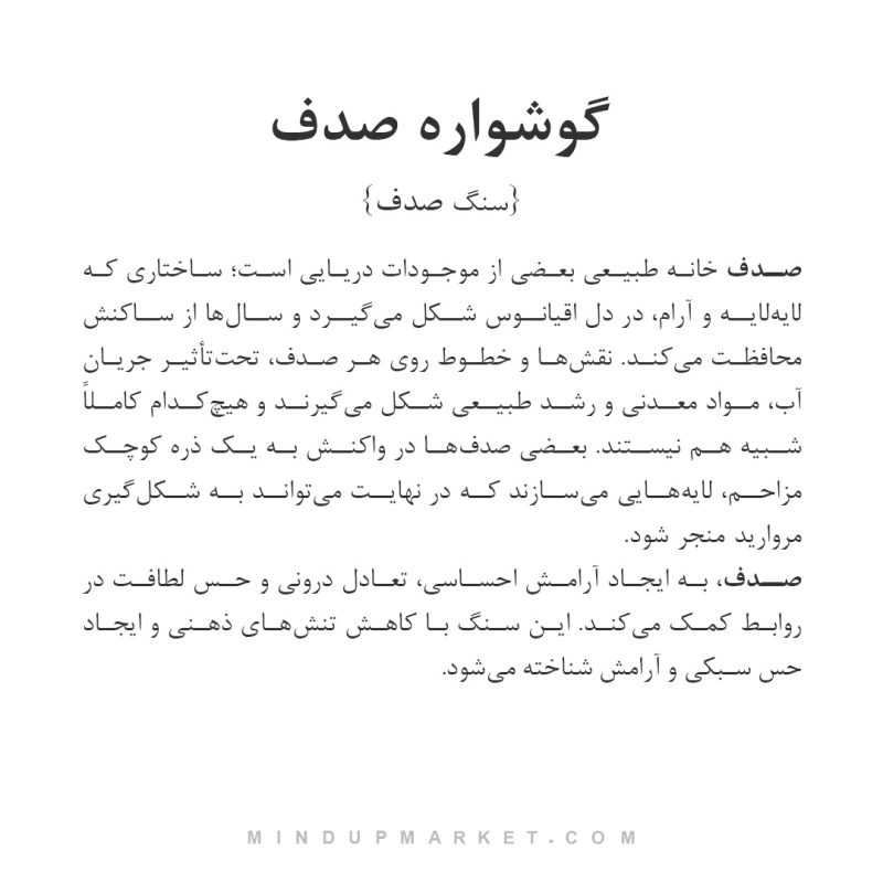 گوشواره صدف - Image 6