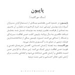 دستبند پاپیون - Image 5