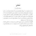 دستبند سدر - Image 5