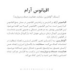 گردنبند اقیانوس آرام - Image 5