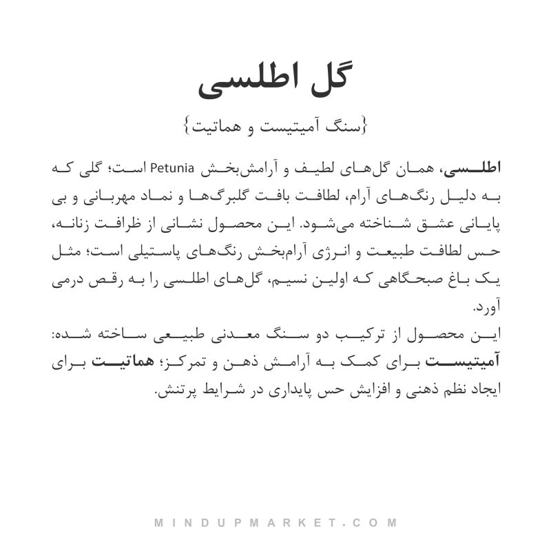 گوشواره گل اطلسی - Image 4