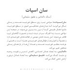 دستبند سان اسپات - Image 5