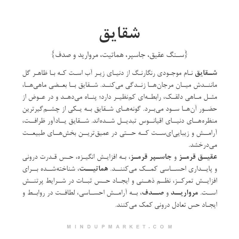 پابند شقایق - Image 4