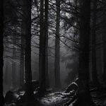 دستبند تاریکی (DARKNESS) - Image 2