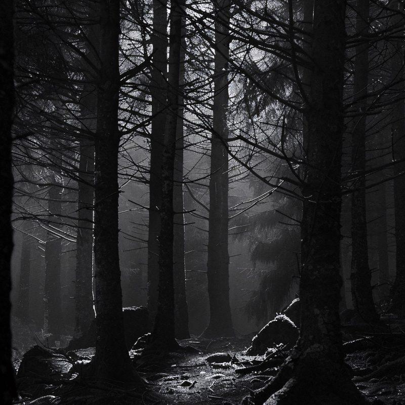 دستبند تاریکی (DARKNESS) - Image 2