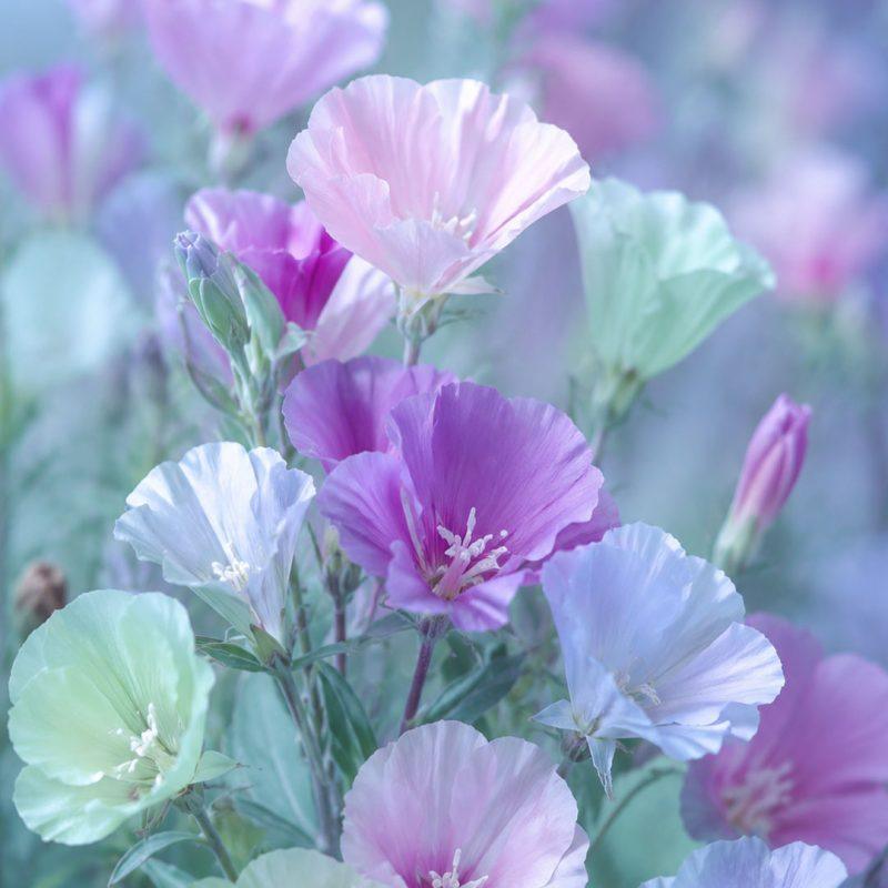 دستبند کلارک - Image 2