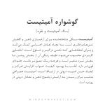 گوشواره آمیتیست - Image 2
