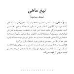 دستبند تیغ ماهی - Image 4
